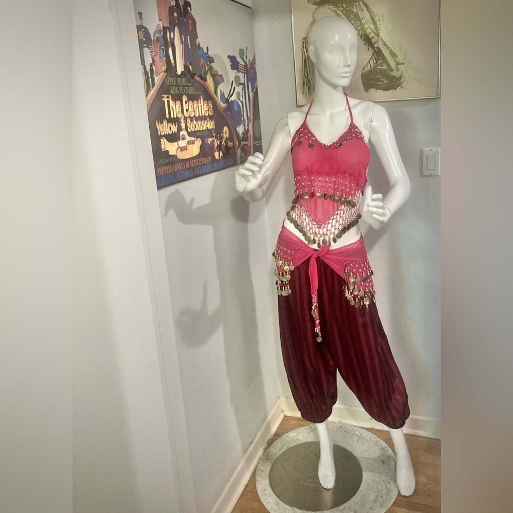 Adult 3pc Halloween Costume Kit - Belly Dancer, Arabian Nights, Harem or Pirate